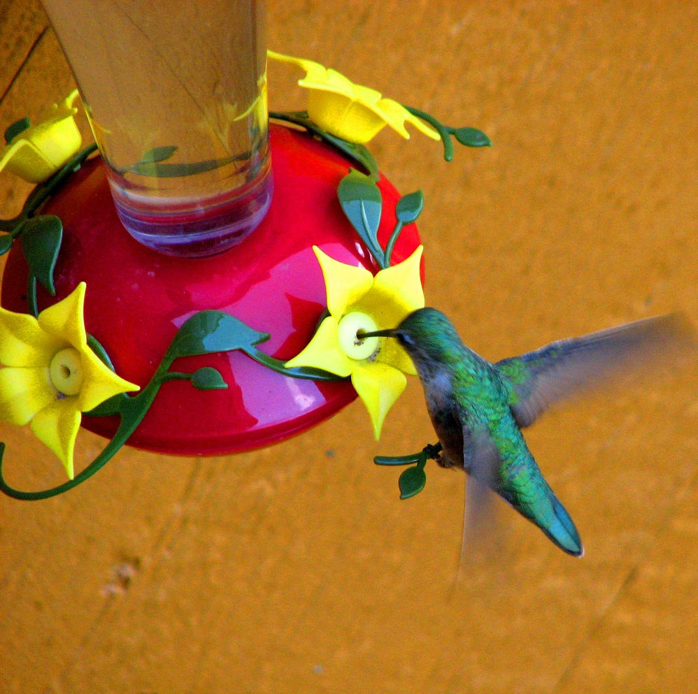 hummer