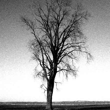 Alone